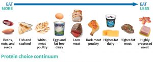 Change Your Protein - Continuum