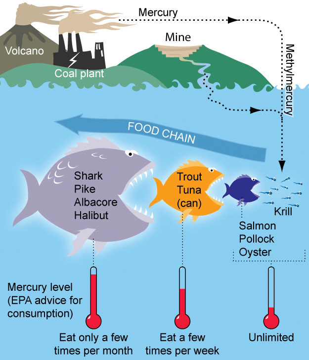 Mercury Graphic